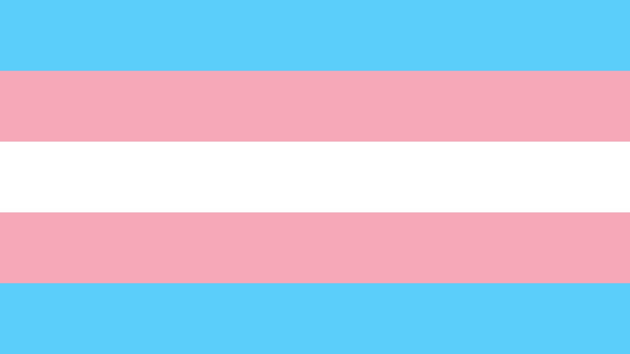 Bandeira do orgulho trans.