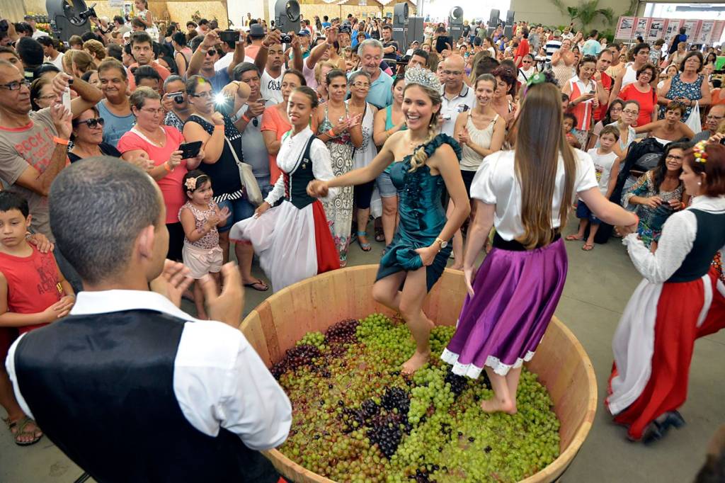 Pessoas pisam em uvas em tina