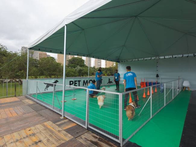 Foto mostra tenda montada, cercada por grade de metal e coberta por lona branca, com pessoas e cães dentro do cercado