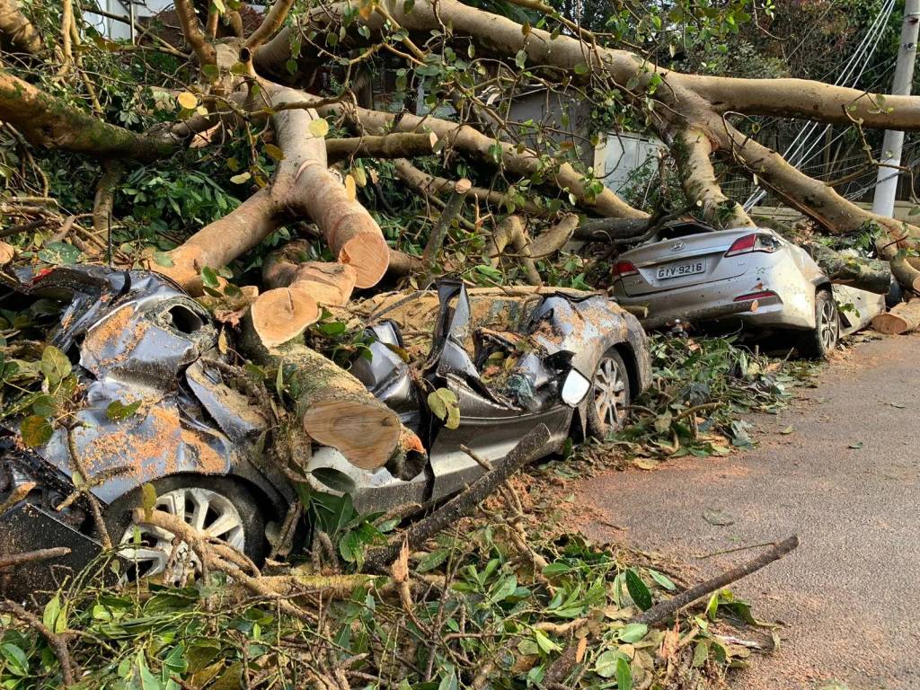 Imagem mostra árvore cortada sobre dois carros destruídos