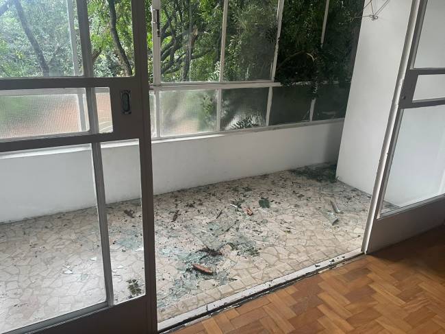 Interior de apartamentos com árvore invadindo janelas