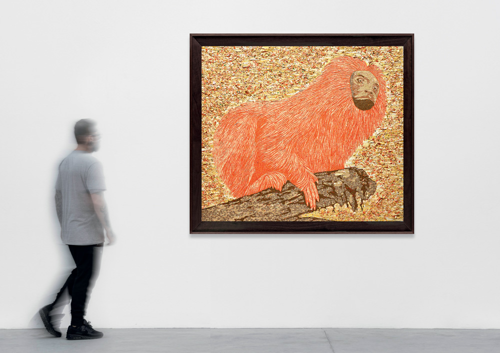 Imagem mostra homem olhando quadro de mico-leão dourado