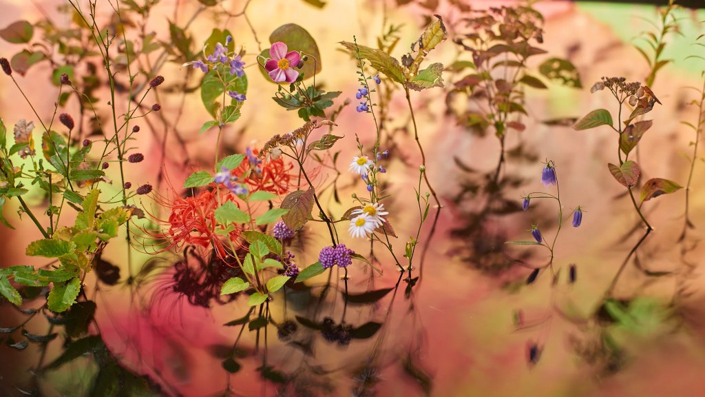 Atsunobu Katagiri cria uma instalação botânica inédita para a Japan House