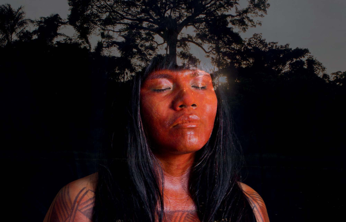 Imagem mostra mulher indígena de olhos fechados, com uma imagem de uma árvore sobreposta sobre seu rosto