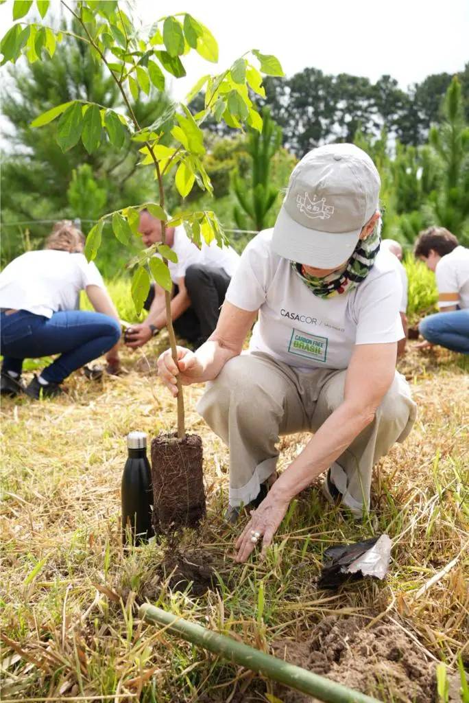 CASACOR realiza compensação de carbono com plantio de 1.087 árvores