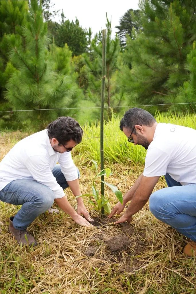 CASACOR realiza compensação de carbono com plantio de 1.087 árvores