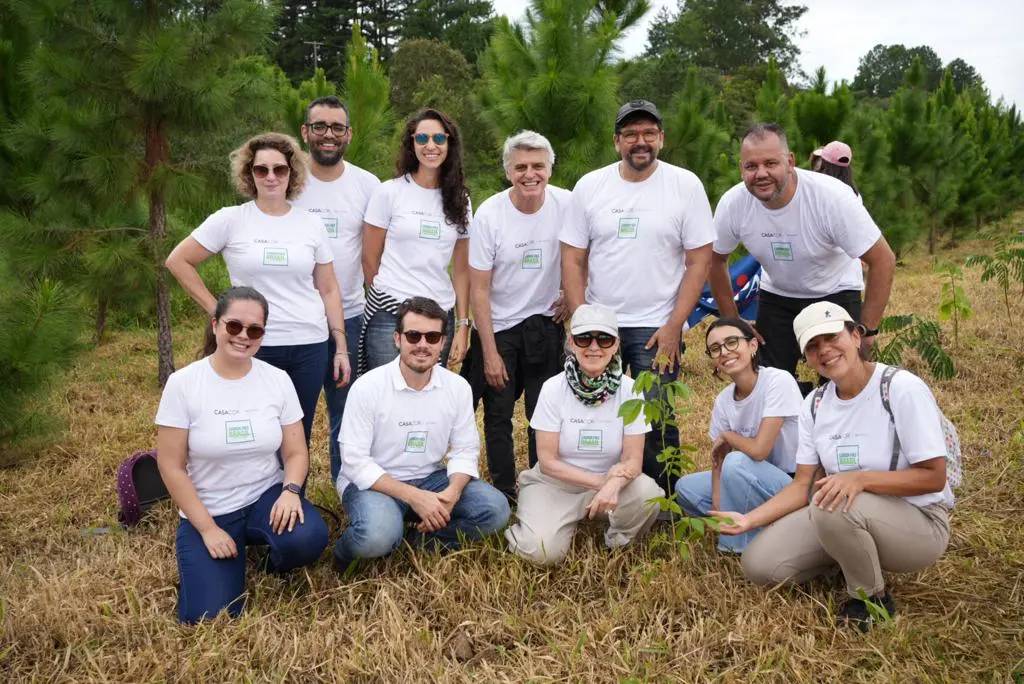 CASACOR realiza compensação de carbono com plantio de 1.087 árvores