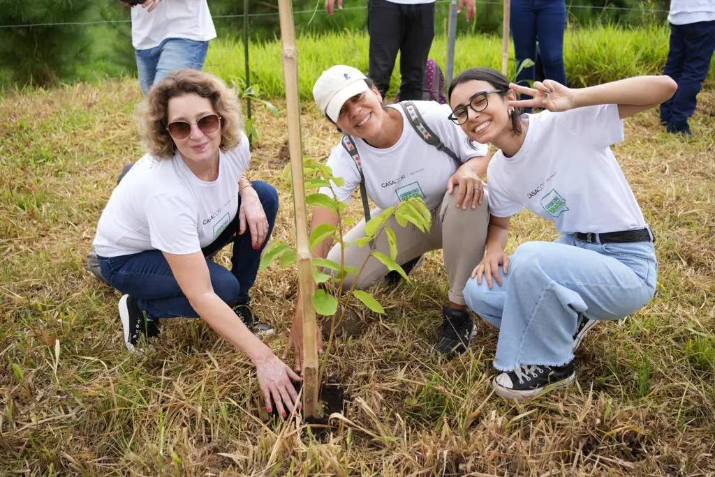 CASACOR realiza compensação de carbono com plantio de 1.087 árvores