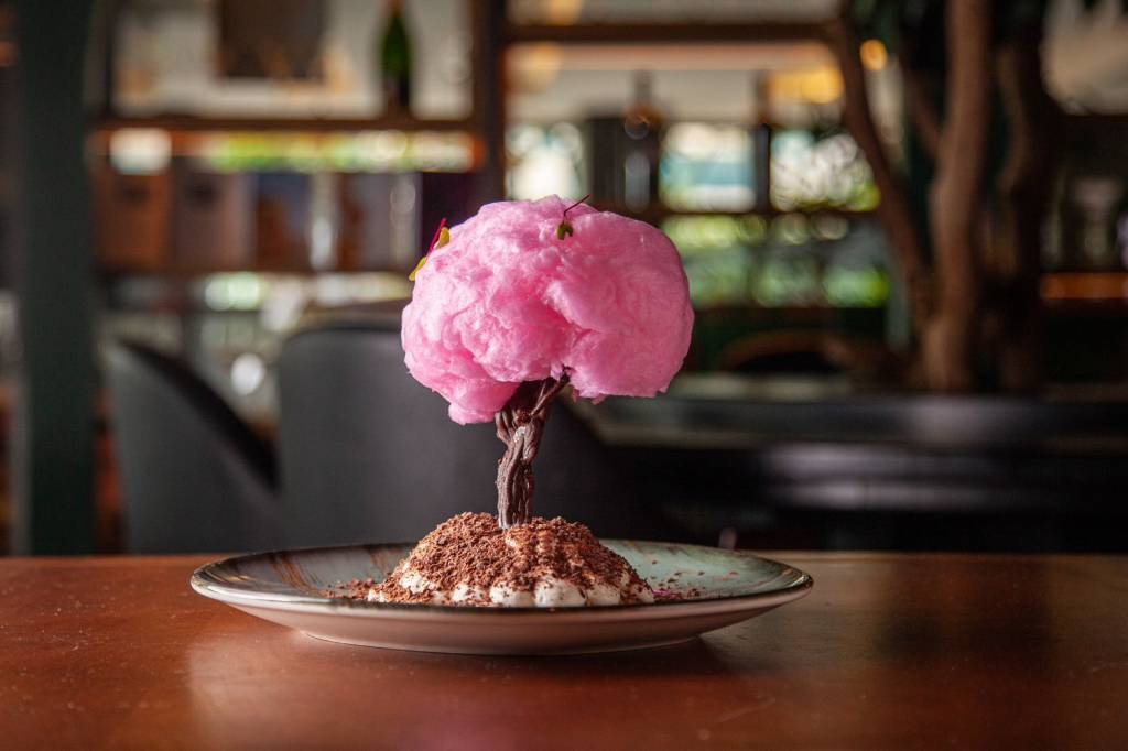 Prato de cerâmica sobre mesa de madeira com tiramisu coberto por árvore de chocolate com copa de algodão doce rosa.