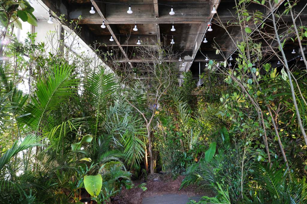 Cardim Arquitetura Paisagística - Banho de Floresta. Folhas caídas pelo chão, ar fresco, cheiro de terra e uma vegetação rica em cores, aromas, texturas e formatos: o ambiente de 163 m² criado pela arquiteta Alessandra Caiado Cardim e pelo botânico Ricardo Cardim proporciona a sensação de adentrar a mata, densa e cheia de vida. Mais do que oferecer um respiro, porém, o projeto é o desfecho do manifesto iniciado no outro espaço da dupla na mostra deste ano, localizado na entrada da CASACOR — um chamado para conhecer e abraçar a diversidade da flora nativa brasileira. Os bancos de madeira de demolição são do designer Paulo Alves.