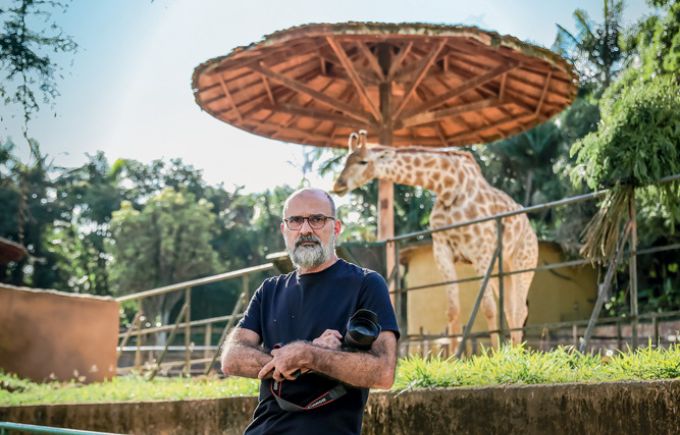 Girafa: fotógrafo diz ainda buscar melhor foto do mamífero