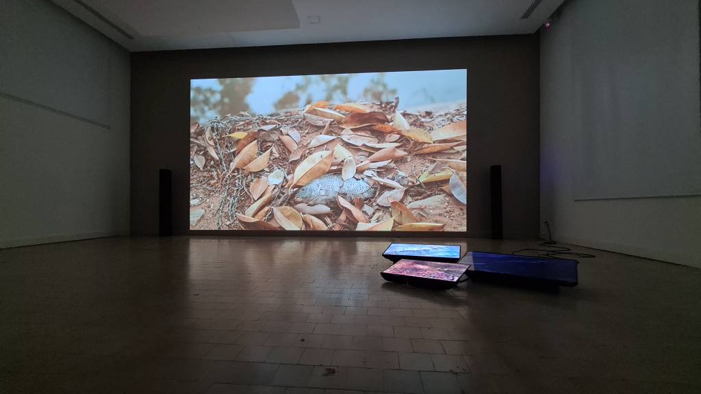 crédito Lucas-Bambozzi_Divulgação exposição-lucas-bambozzi