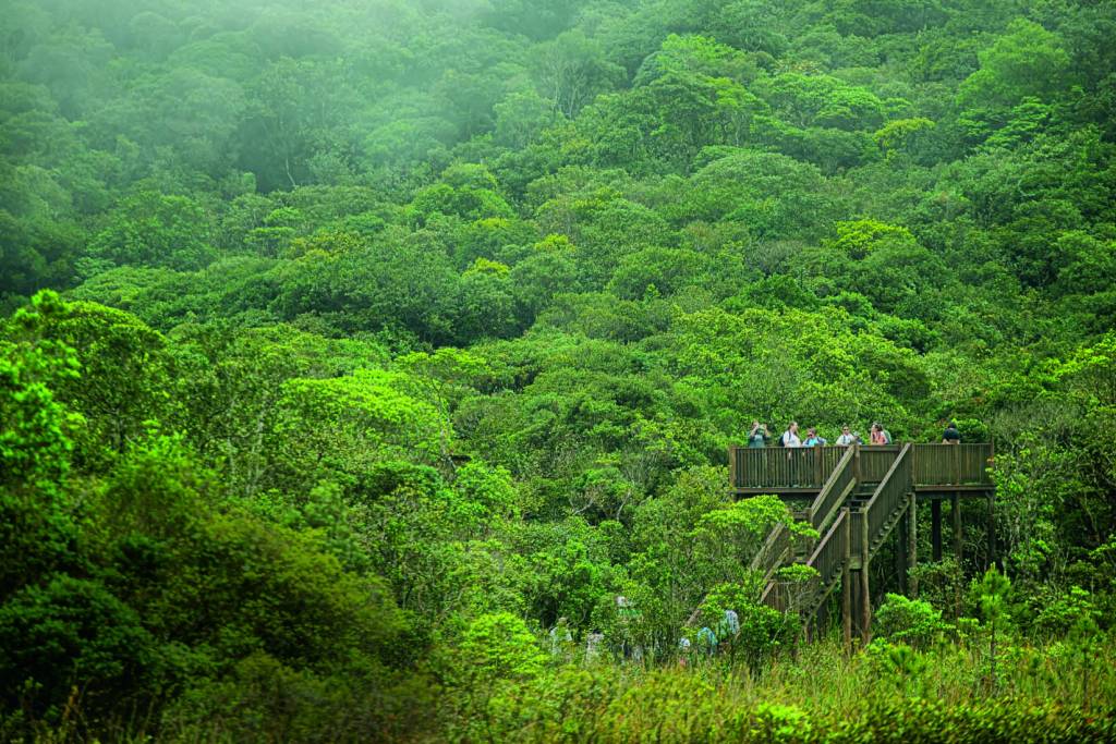 Mirante: estrutura fica na trilha do Núcleo Curucutu; é possível ver o litoral sul