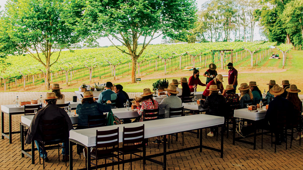 Mesas retangulares com pessoas sentadas de costas e chapéus de palha em pátio de vinícola ao lado das parreiras.