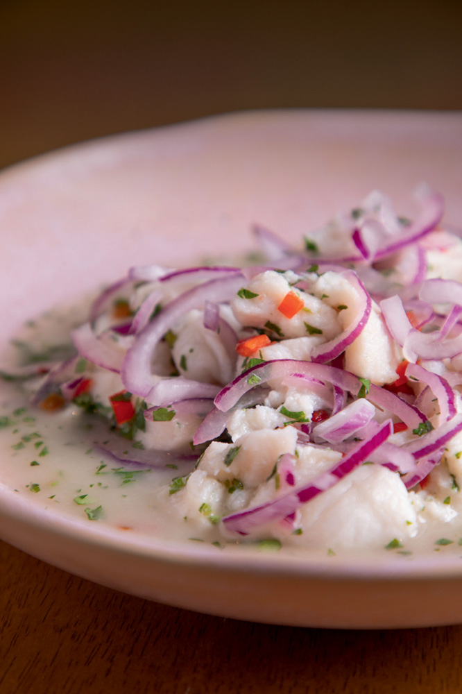 Ceviche coberto por cebola-roxa