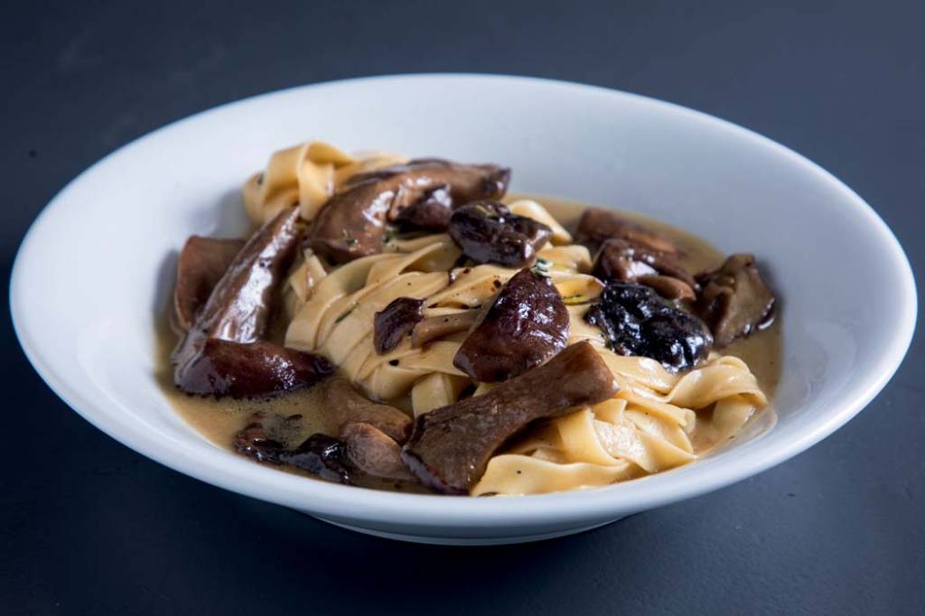 Elevado Conselheiro – fettuccine Um prato branco com macarrão fettuccine com pedaços de cogumelos diversos.