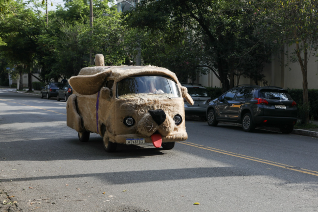 Petlove – Petcar (2)_resized Petlove – Petcar (2)_resized