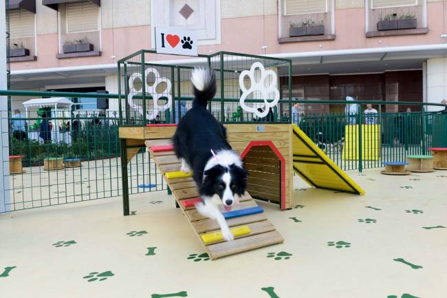 Pracinha do Anália: brinquedos para pets e crianças