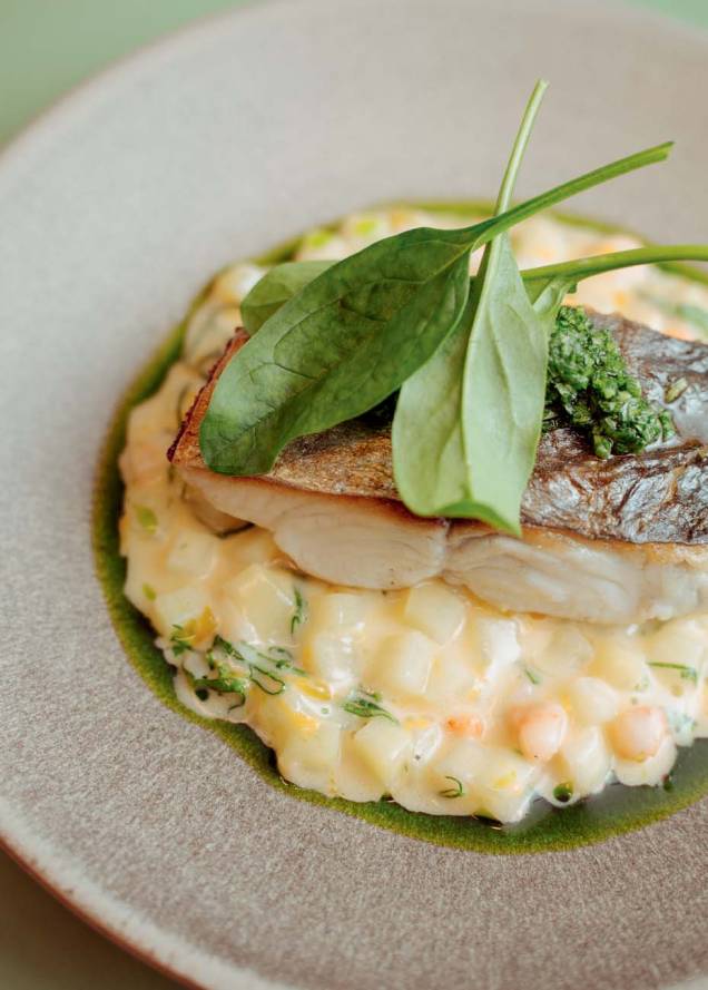 Peixe com batata, tangerina, camarão e salsa verde: do Corrutela Peixe com batata, tangerina, camarão e salsa verde: do Corrutela