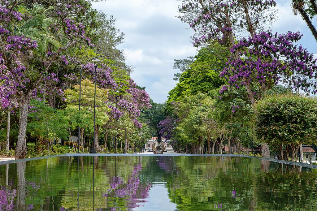 parque da ciência instituto butantan parque-ciência-instituto-butantan