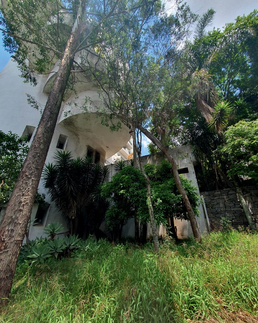 Imagem mostra área com mato alto na parte debaixo do prédio, com costas do edifício ao fundo. Área de algumas árvores e boa parte do chão tem mato alto