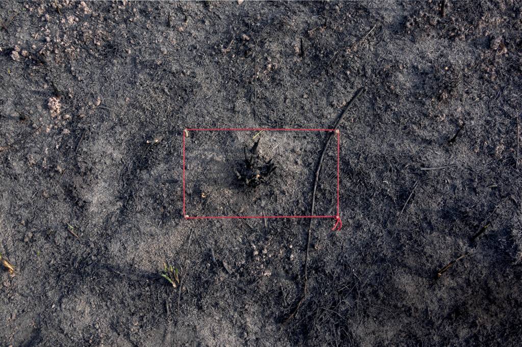 Artista propõe novo olhar sobre a paisagem urbana em exposição