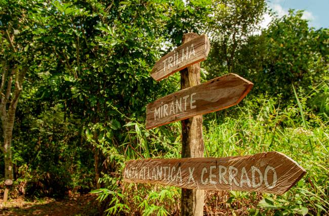 Parque Natural Municipal Jaceguava: dois biomas em um só lugar