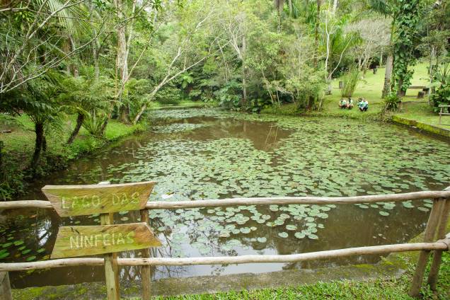 Parque Natural  Municipal Itaim: quatro vezes o tamanho do Ibirapuera