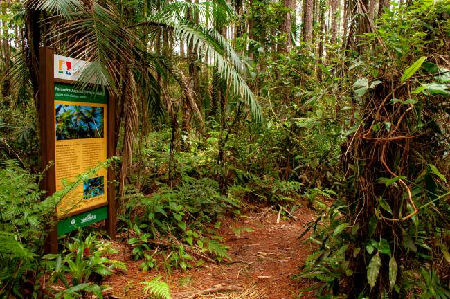 parque-serra-do-mar