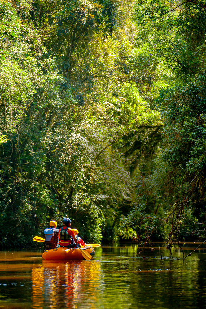 Carta ao leitor: Atrás do arranha-céu