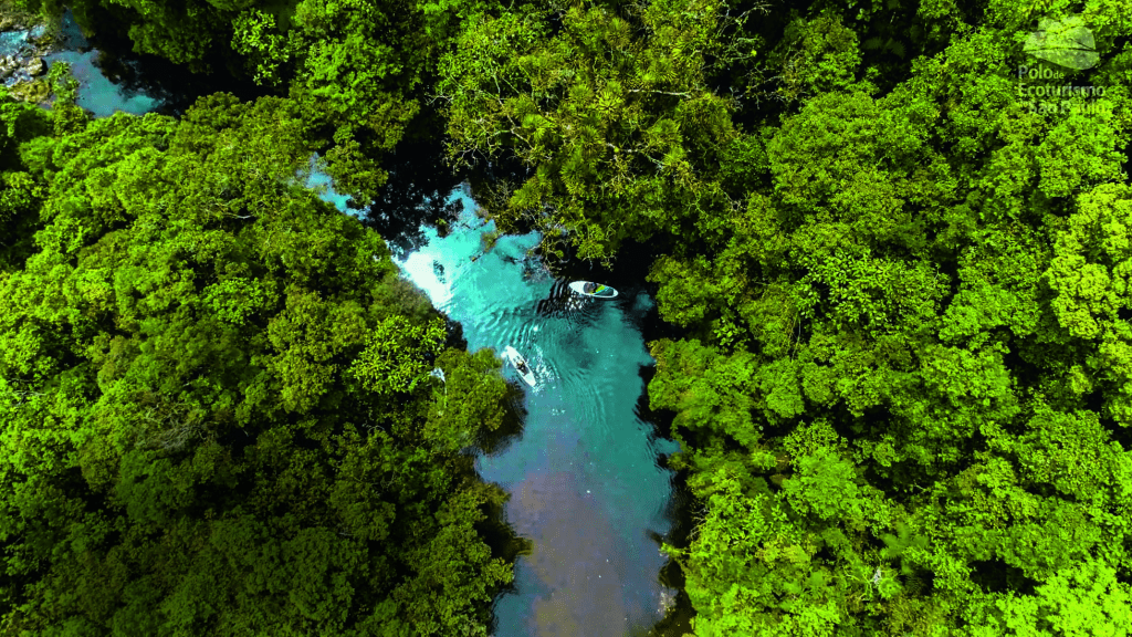 Parque de Aventura Selva SP