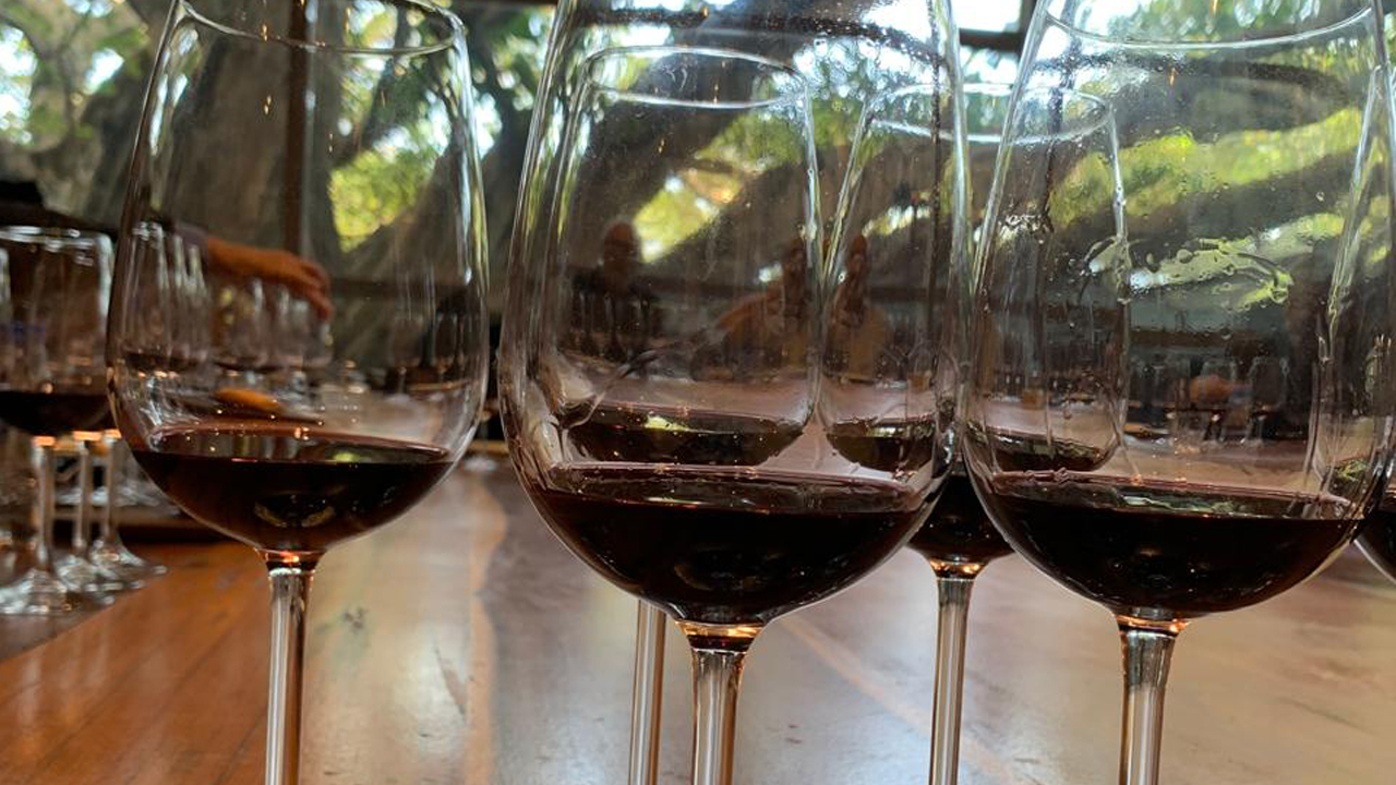 Taças de vinho com um pouco da bebida servida alinhadas em cima de mesa de madeira com zoom.