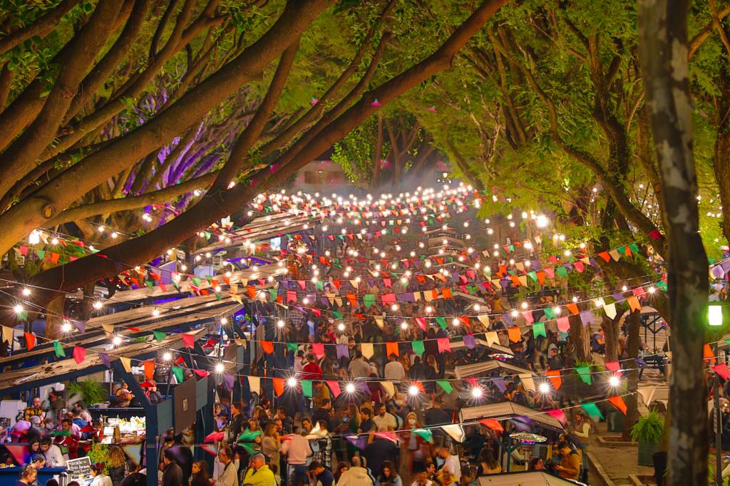 Festa junina em alameda de árvores com bandeirinhas e luzes indo de um lado para outro