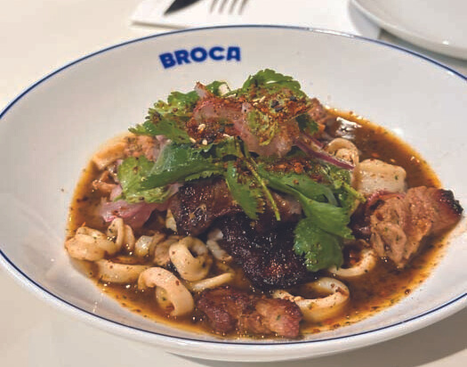 broca-prato
