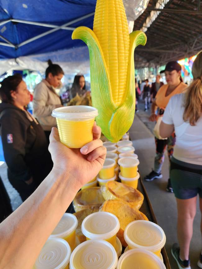 festa-julina-parque-agua-branca