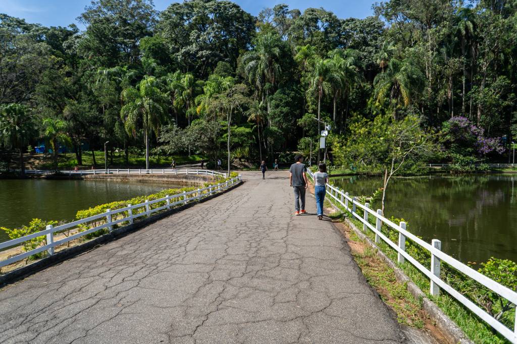 Horto Florestal realiza caminhada noturna voltada para o público infantil