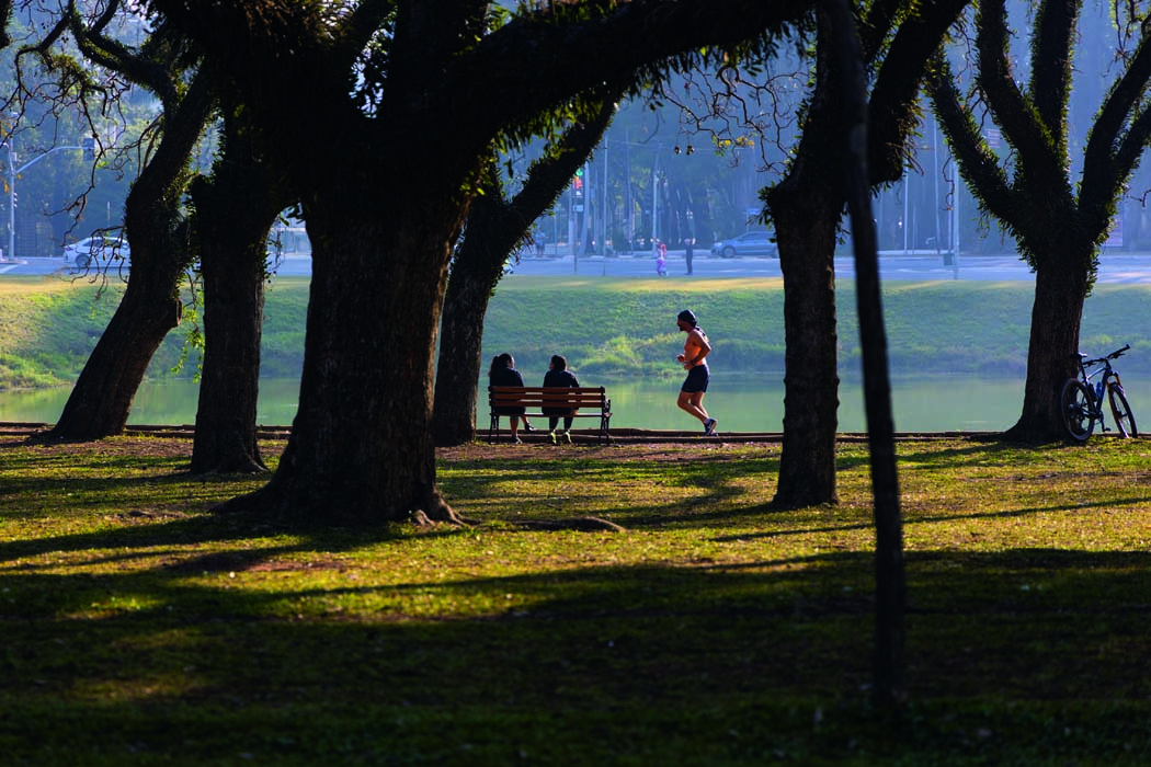 ANIVIBIRAPUERA5.jpg Parques de SP celebram o Dia Nacional do Pau-Brasil