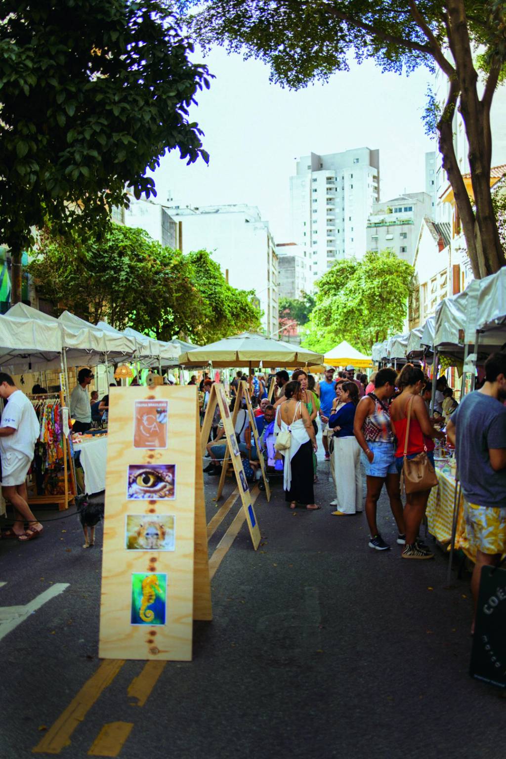 feiras-criativas-sustentaveis-sp