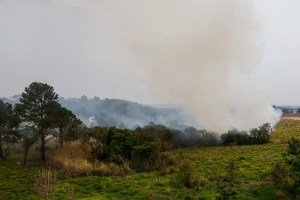 incendios-sao-paulo-criminosos-presos