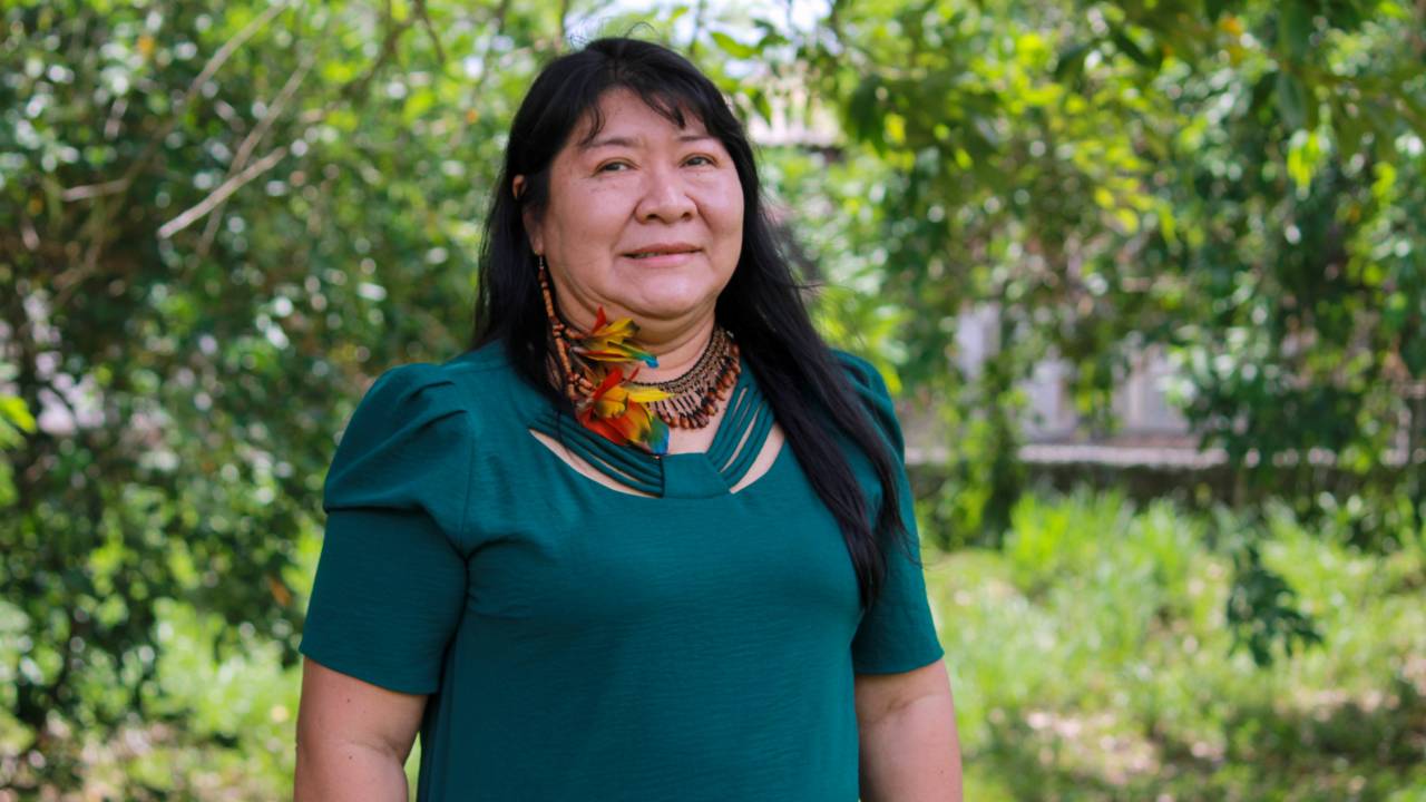 Joênia, da Funai: honraria paulista