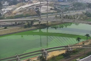 rio-pinheiros-agua-verde