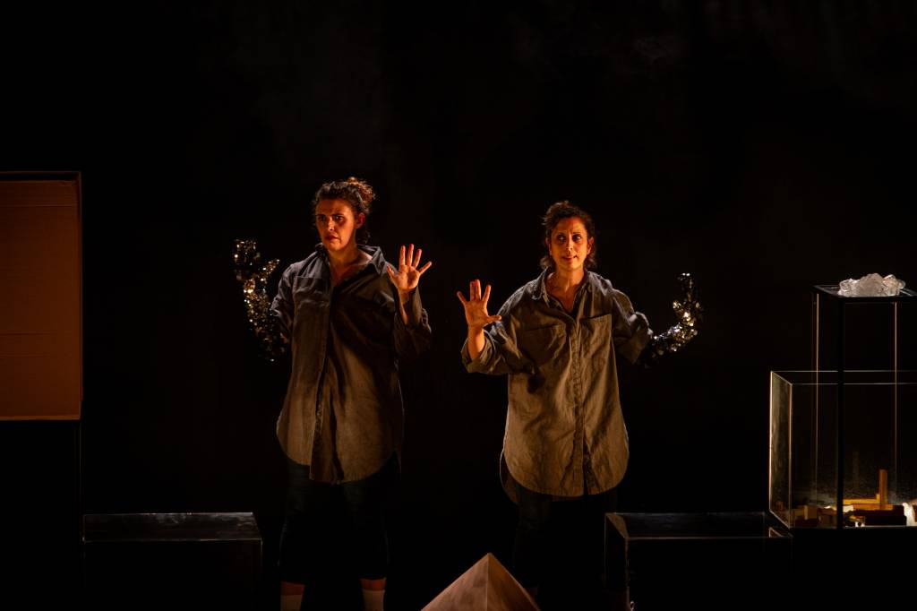 ‘E se Fôssemos Baleias?’ tem sessões gratuitas no Teatro Cacilda Becker