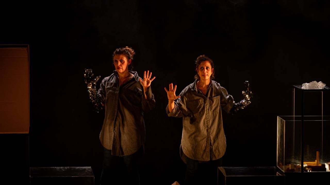 e-se-fossemos-baleias-teatro-cacilda-becker