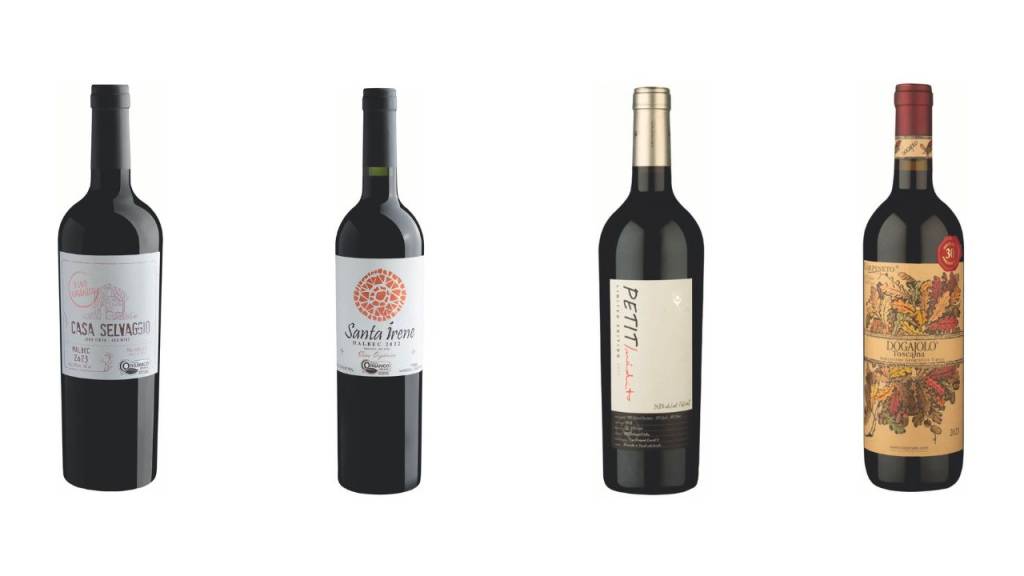 Entenda por que a geração Z está transformando o mercado de vinhos