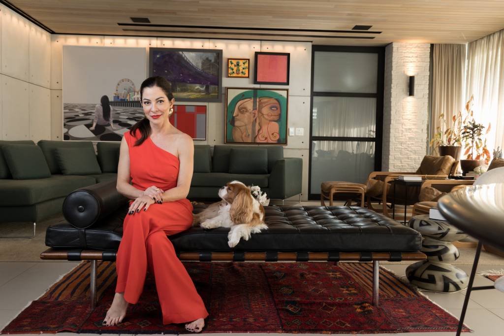 “Não somos estúpidas”, diz Ana Paula Padrão sobre bebês reborn