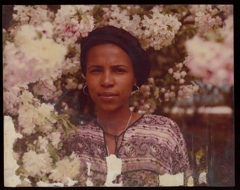 Ocupação Leda Maria Martins conta a trajetória da renomada intelectual