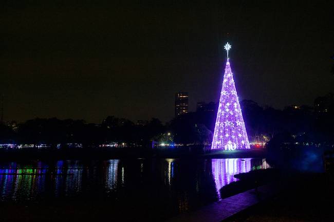 Processed with VSCO with al1pro preset Árvore de Natal do Parque do Ibirapuera