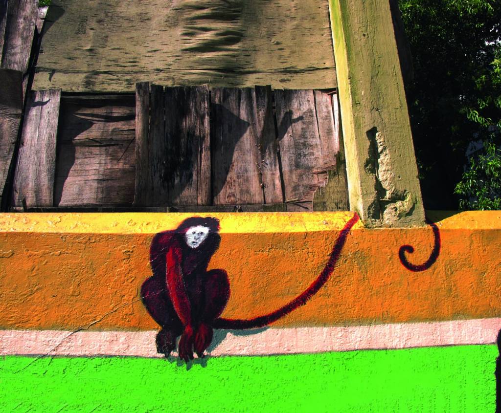 Flagrantes da metrópole: Nair Benedicto divide seu olhar sobre São Paulo