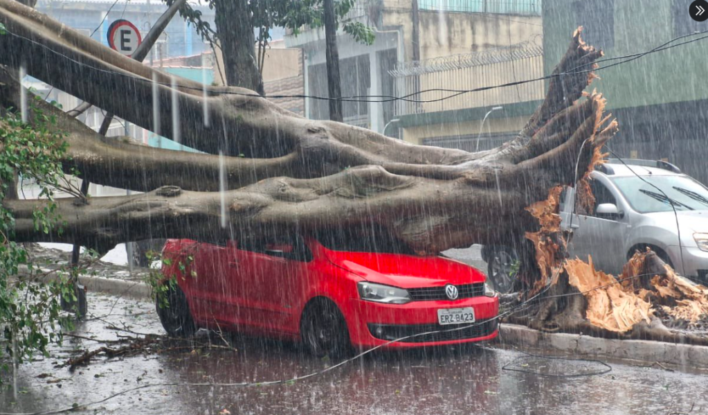Defesa Civil de SP faz lista do que não fazer durante enchentes; confira