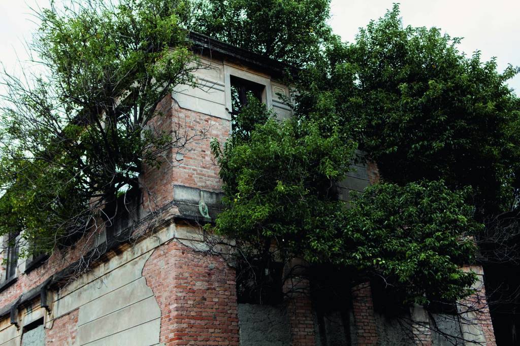 Flagrantes da metrópole: Nina Jacobi divide seu olhar sobre São Paulo